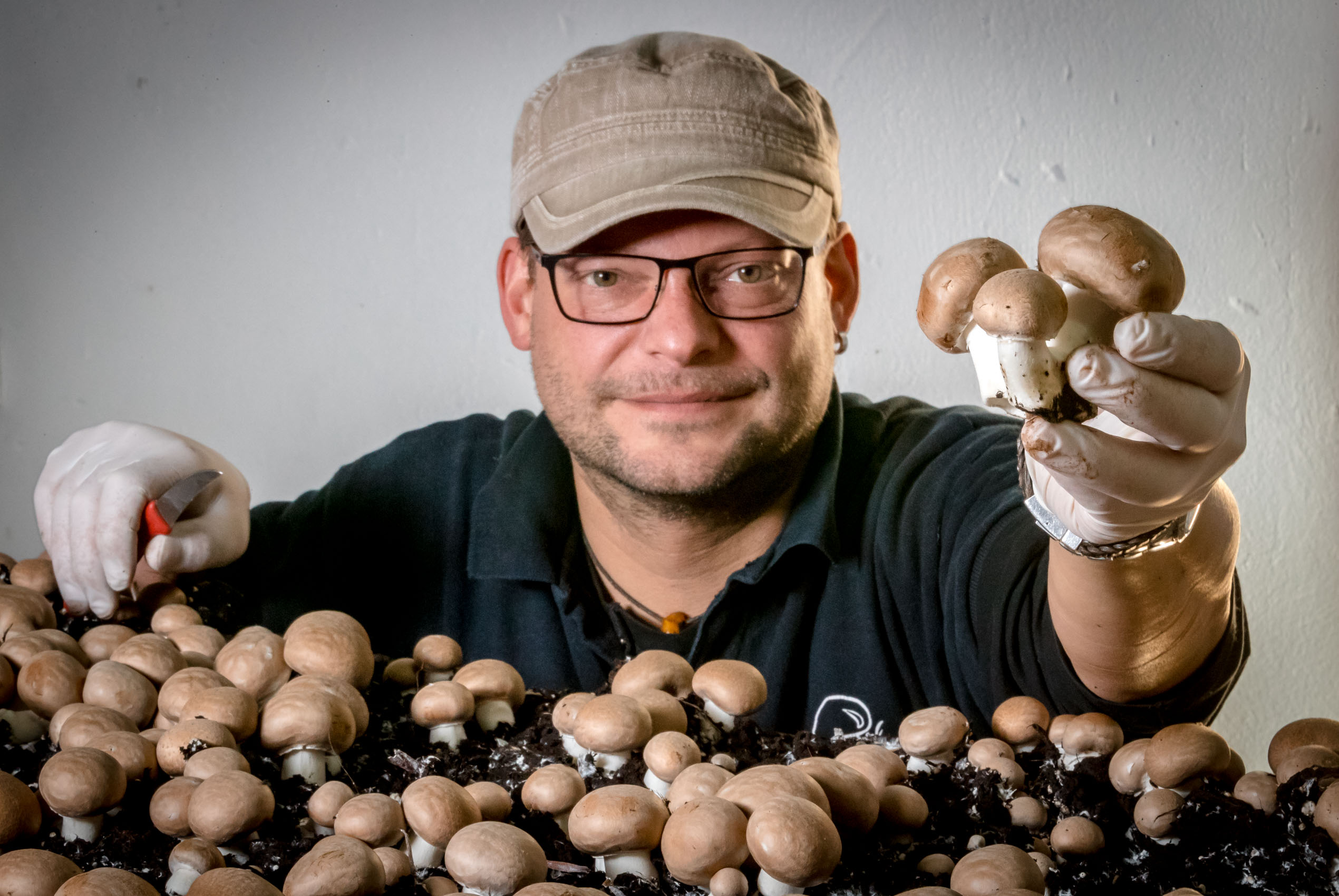 Bad Gottleuba (Sächsische Schweiz-Osterzgebirge, Sachsen), 13.10.2016, Champignonzucht Eichler, Am Tannenbusch 11 (privat: Augustusberg 1b), 01816 Bad Gottleuba-Berggießhübel
www.champignonzucht-eichler.de, 01522 6053371, 

im Foto: Marcel Eichler mit seinen Champignons

Foto: Marko Förster
13.10.2016 © Marko Förster    
                                                             
WICHTIGE HINWEISE: Jeder Abdruck ist honorar- und umsatzsteuerpflichtig (7 % Ust.)! Die Weitergabe des Bildmaterials an Dritte ist verboten!